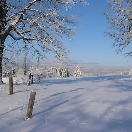 Luxury In Sumava Mountains Kristanov